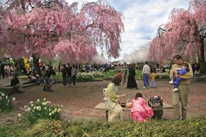 400px-2008-subaru-cherry-blossom-festival-of-greater-philadelphia-1