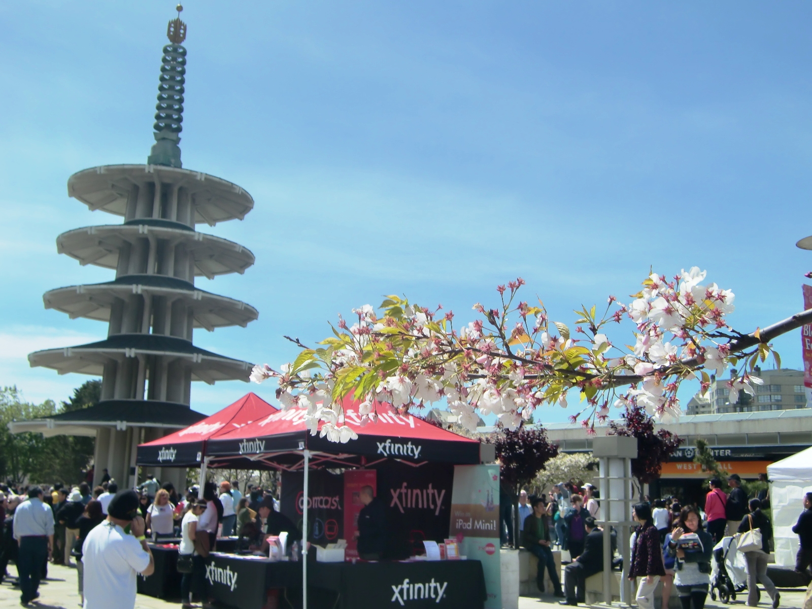 Sf Japantown Cherry Blossom Festival 2024 Caty Maudie