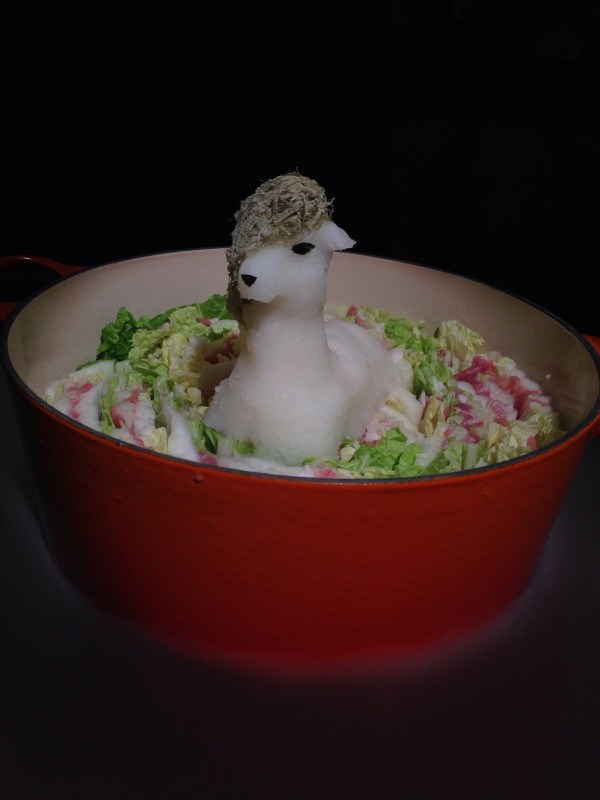 Grated radish art from Japan brings the cute to your favourite dishes11