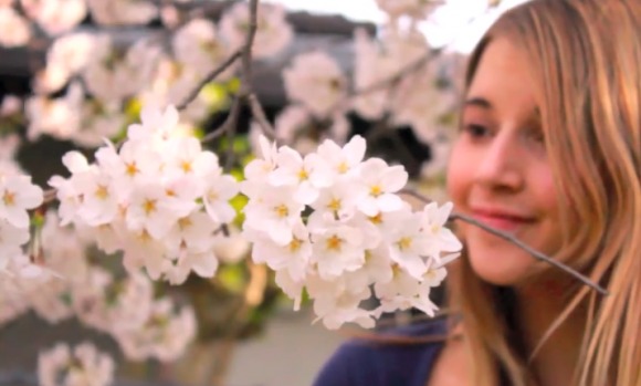 There’s something about sakura- It’s hard not to fall in love with Japan’s cherry blossom【Videos】
