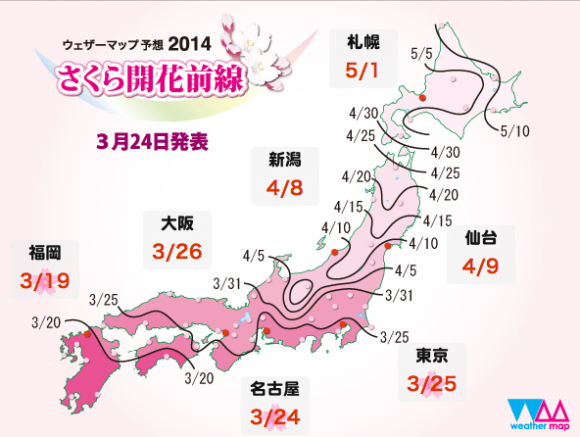 There’s something about sakura- It’s hard not to fall in love with Japan’s cherry blossom【Videos】3