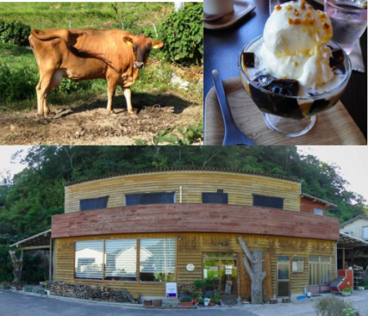 【Exploring Unfamilar Japan】We have dessert and meet a cow named Julia at an organic island café