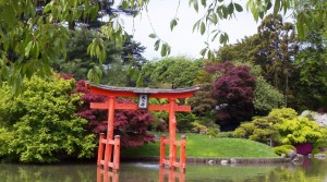 A view of Sakura Matsuri at Brooklyn Botanic Garden, April 2012.