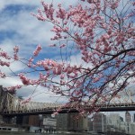 20130413_123753