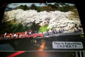 This is Fukushima Calendar (2013)