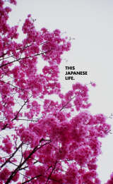 thisJapaneselife